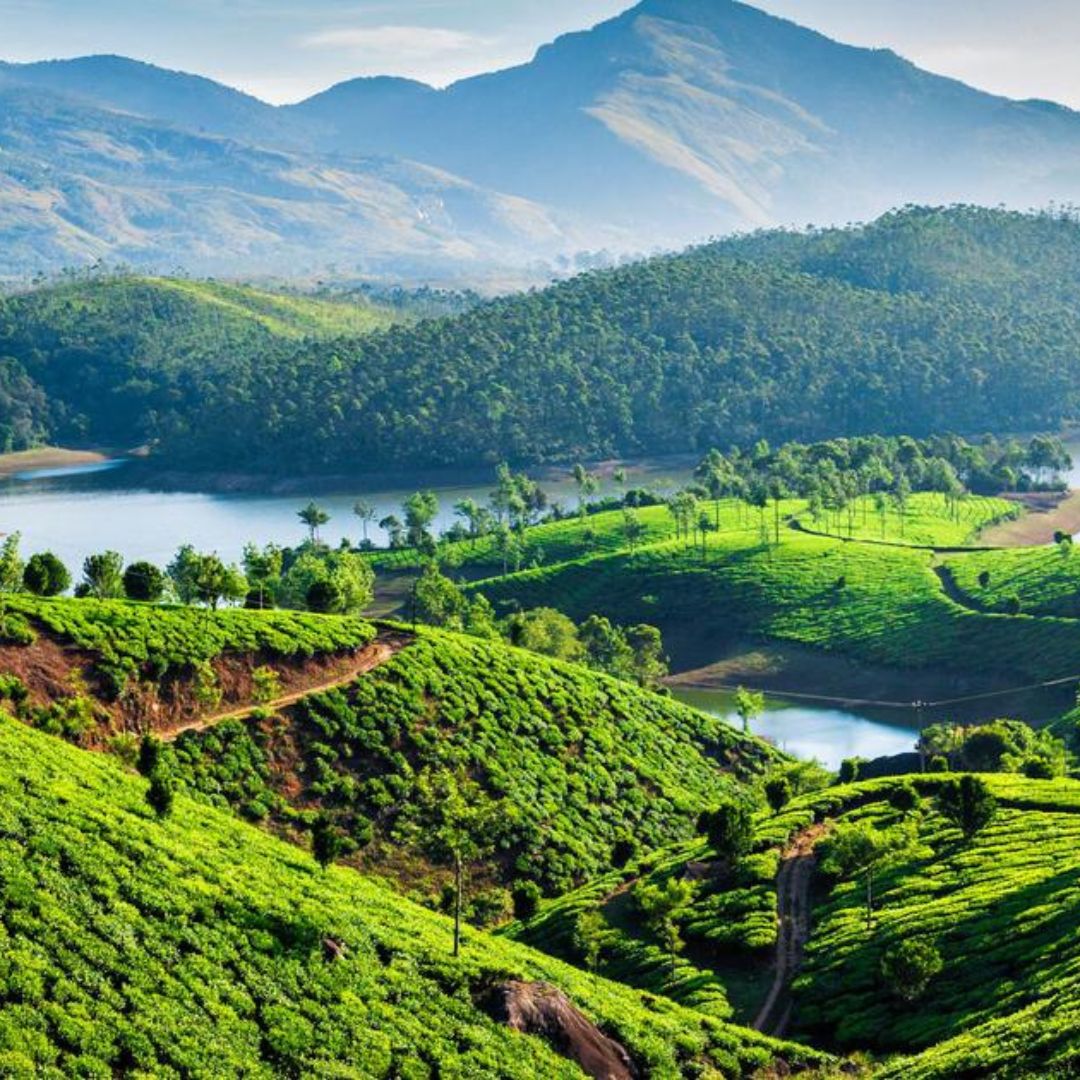 Munnar
